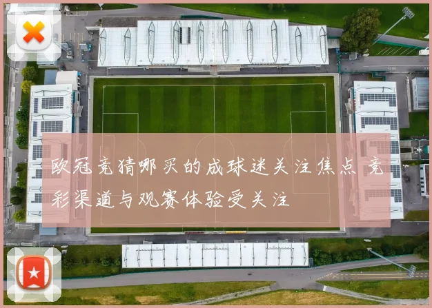欧冠竞猜哪买的成球迷关注焦点 竞彩渠道与观赛体验受关注