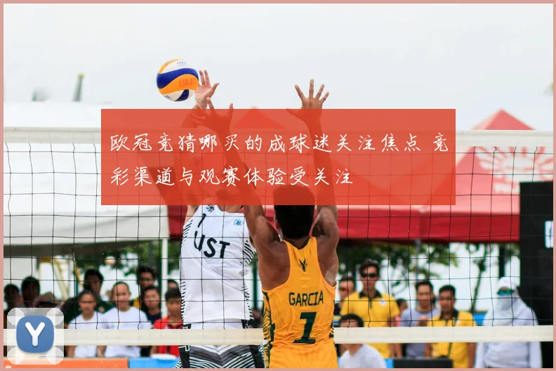 欧冠竞猜哪买的成球迷关注焦点 竞彩渠道与观赛体验受关注